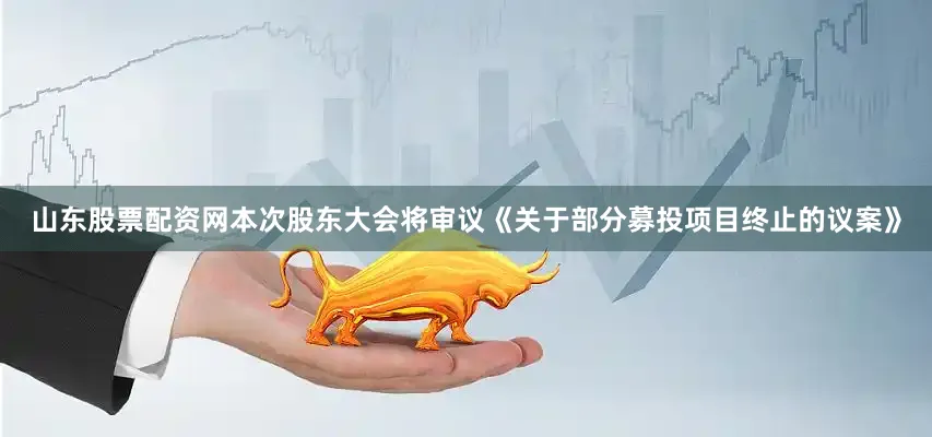 山东股票配资网本次股东大会将审议《关于部分募投项目终止的议案》